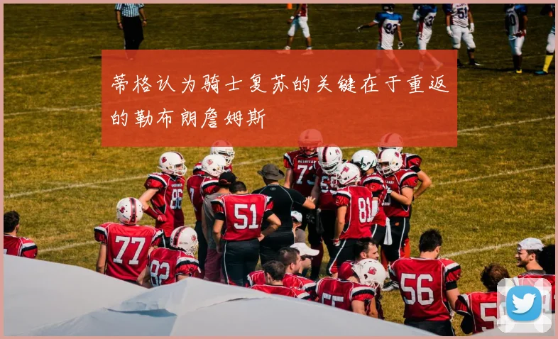 蒂格认为骑士复苏的关键在于重返的勒布朗詹姆斯