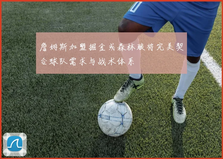 詹姆斯加盟掘金或森林狼将完美契合球队需求与战术体系