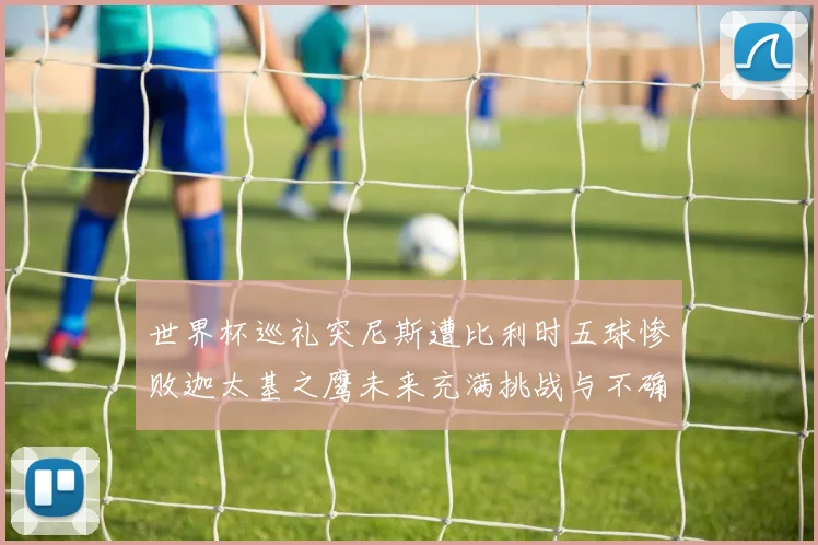 世界杯巡礼突尼斯遭比利时五球惨败迦太基之鹰未来充满挑战与不确定性