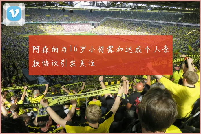 阿森纳与16岁小将蒙加达成个人条款协议引发关注